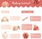 Wedding Party Decorations, 12 PCS Rose Pink Floral Paper Lanterns Tissue Pom Poms Backdrop Decoration for Pink Boho Wedding Bridal Shower Birthday Tea Party Decor